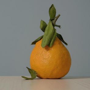 ����: 
