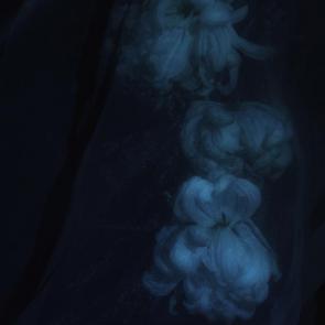 ����: ��������� �����