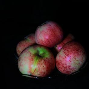 ����: 