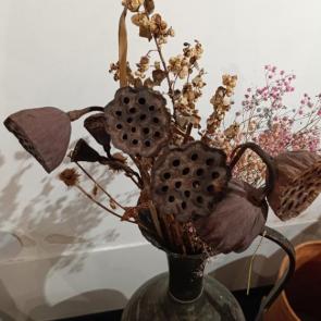 ����: ���������