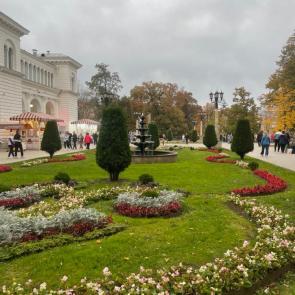 ����: 