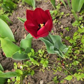 ���� ��������: 