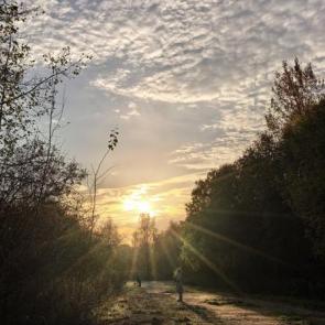 ����: �����