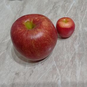 ����: �������...