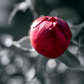 ����: 