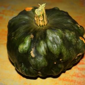 ����: �����