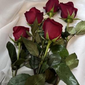 ����: 