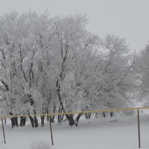 ����: �������