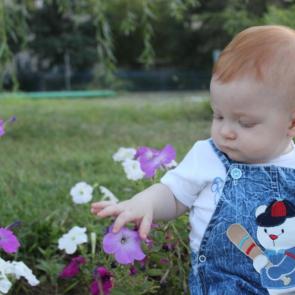 ����: �������������