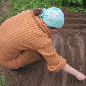 ����: �����