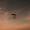 Gazea