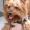 �����12345