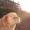 valter762