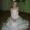 nana-b2010@yandex.ru
