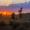enia_13