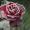 alena_k.88@mail...