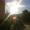 choudhuri19