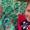 Filipp