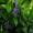Delil123rugmailcom